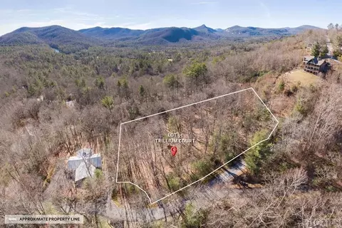 35 Trillium Ct, Sapphire, NC 28774 photo 5