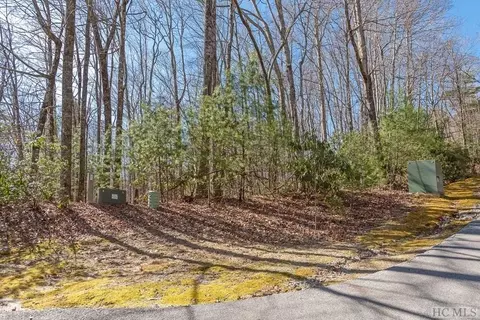 35 Trillium Ct, Sapphire, NC 28774 photo 4