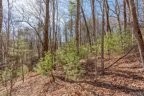 35 Trillium Ct, Sapphire, NC 28774 photo 6