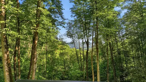 View/Area - 374 Triple Creek Dr, Cullowhee, NC 28723 photo 1 of 2