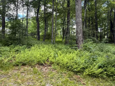 lot9 Apple Mountain Ln, Highlands, NC 28741 photo 6