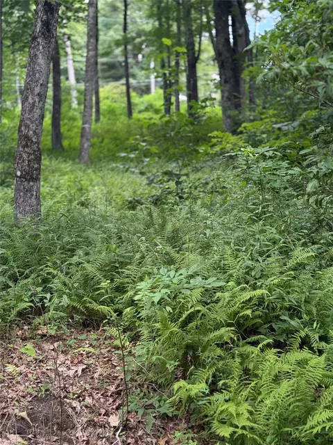 lot9 Apple Mountain Ln, Highlands, NC 28741 photo 8