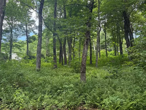 lot9 Apple Mountain Ln, Highlands, NC 28741 photo 7