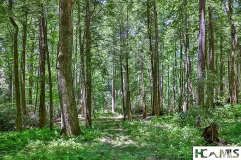 lot16 A N Cobb Rd, Highlands, NC 28741 photo 11