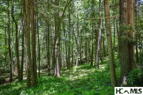 lot16 A N Cobb Rd, Highlands, NC 28741 photo 5