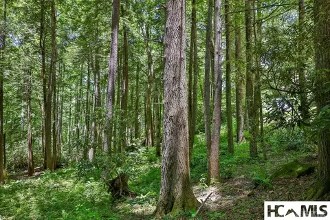 lot16 A N Cobb Rd, Highlands, NC 28741 photo 12