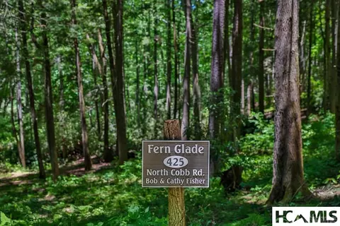lot16 A N Cobb Rd, Highlands, NC 28741 photo 9