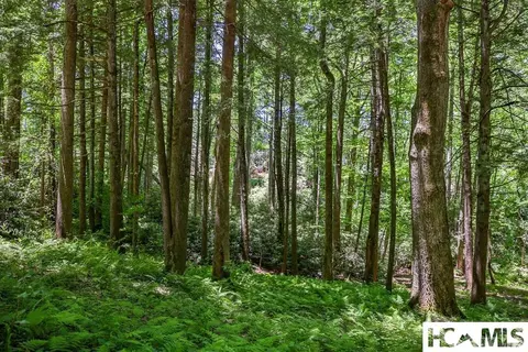 lot16 A N Cobb Rd, Highlands, NC 28741 photo 13