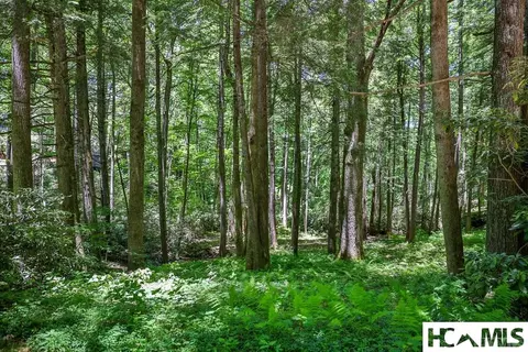 lot16 A N Cobb Rd, Highlands, NC 28741 photo 4