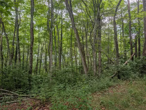 lot2 Highlands Gap Rd, Scaly Mountain, NC 28775