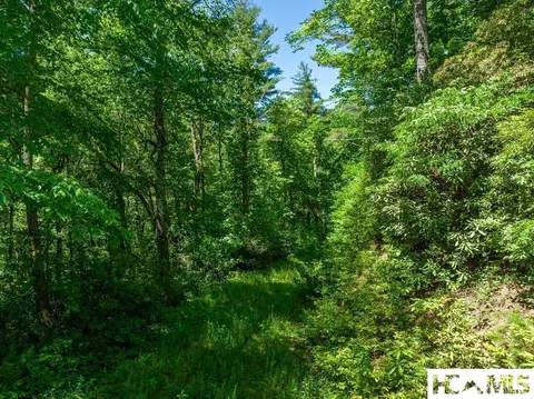 tbd Chastain Valley Rd, Highlands, NC 28741 photo 12