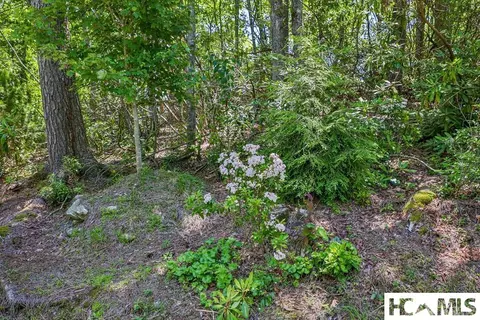 lot1 Big Bear Pen Rd, Highlands, NC 28741 photo 3