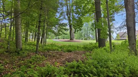 37 Lillium Lane, Cullowhee, NC 28723 photo 16