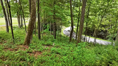 37 Lillium Lane, Cullowhee, NC 28723 photo 15