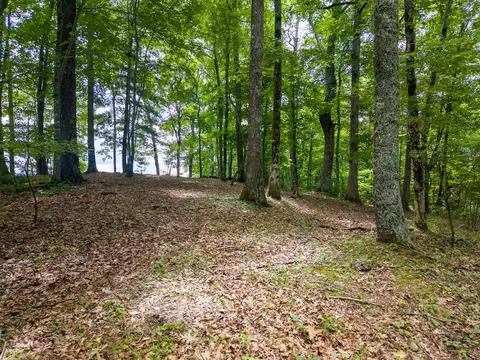 752 Shepherds Gap Rd, Cullowhee, NC 28723 photo 7