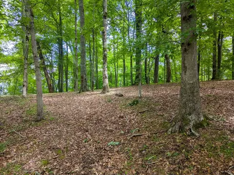 752 Shepherds Gap Rd, Cullowhee, NC 28723 photo 8
