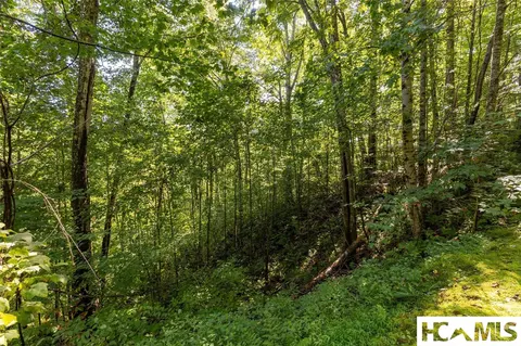 lot4 Old Forester Trl, Cullowhee, NC 28723 photo 4