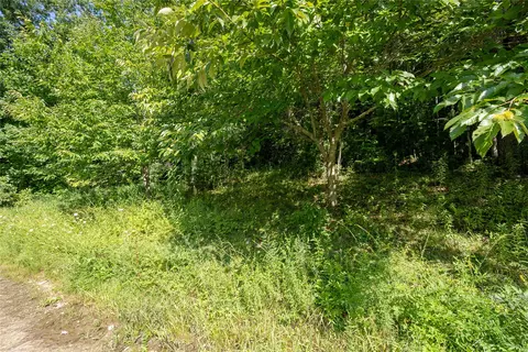 tbd Whitewater Rd, Sapphire, NC 28774 photo 12