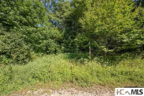 tbd Whitewater Rd, Sapphire, NC 28774 photo 10