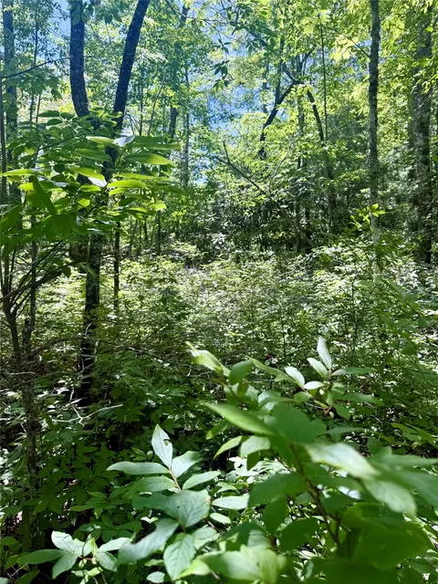 tbd Indian Lake Rd, Lake Toxaway, NC 28747