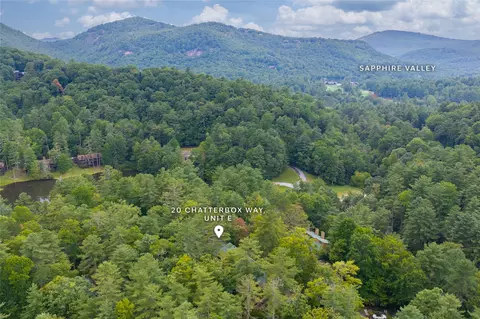 View/Area - 20 Chattrbox Way #E, Sapphire, NC 28774 photo 13 of 13