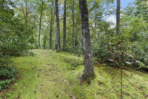 Exterior - 20 Chattrbox Way #E, Sapphire, NC 28774 photo 16 of 19
