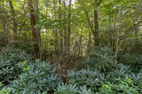 293 Whisper Winds Court, Sapphire, NC 28774 photo 5