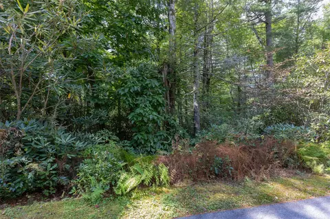294 Whisper Winds Court, Sapphire, NC 28774 photo 5