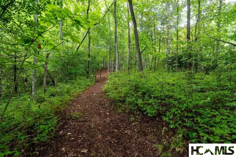 lot11 E Valley Dr, Sapphire, NC 28774 photo 4