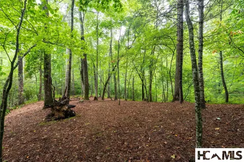 lot11 E Valley Dr, Sapphire, NC 28774 photo 3