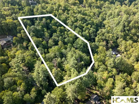 107 Roll Cast Ln, Sapphire, NC 28774 photo 16