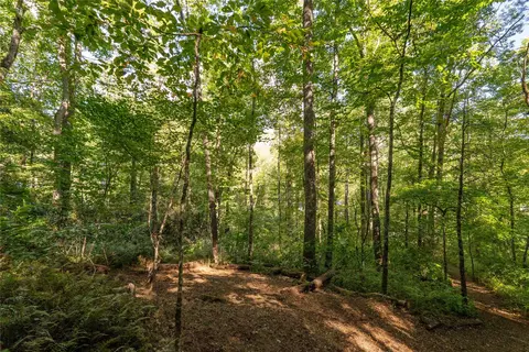 107 Roll Cast Ln, Sapphire, NC 28774 photo 9