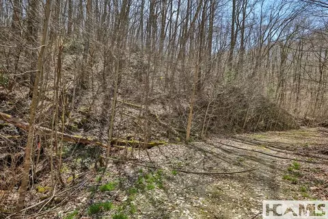 tbd Bearwood Dr, Cullowhee, NC 28723 photo 2