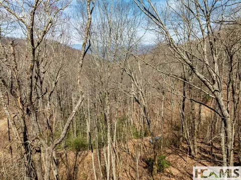 tbd Bearwood Dr, Cullowhee, NC 28723 photo 4