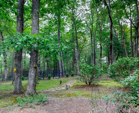 Exterior - 424 Split Rail Row, Highlands, NC 28741 photo 14 of 20