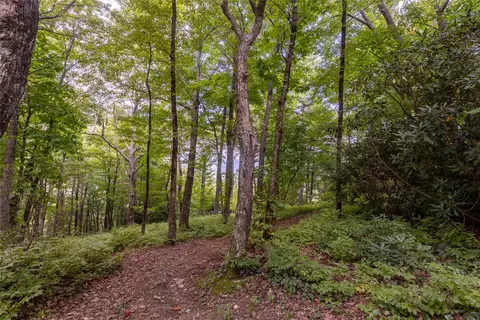 17 Falcon Rdg, Highlands, NC 28741 photo 7