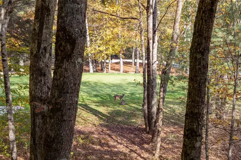 Exterior - 10 Versant Ln, Cullowhee, NC 28723 photo 9 of 23