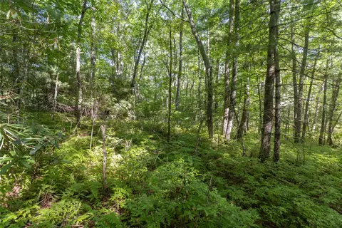 tbd High Pasture Rd, Highlands, NC 28741 photo 12