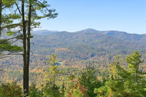 20 Whitetail Dr, Sapphire, NC 28774 photo 30