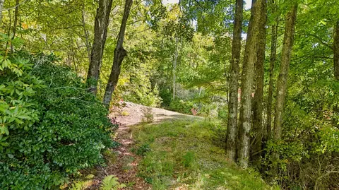 20 Whitetail Dr, Sapphire, NC 28774 photo 12