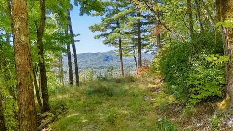 20 Whitetail Dr, Sapphire, NC 28774 photo 6