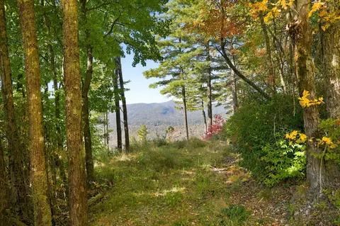 20 Whitetail Dr, Sapphire, NC 28774 photo 28