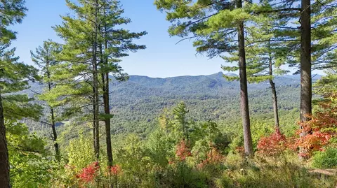 20 Whitetail Dr, Sapphire, NC 28774 photo 7