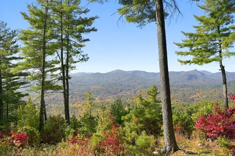 20 Whitetail Dr, Sapphire, NC 28774