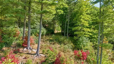 20 Whitetail Dr, Sapphire, NC 28774 photo 8