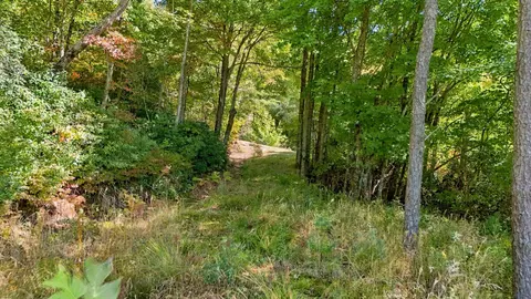 20 Whitetail Dr, Sapphire, NC 28774 photo 9