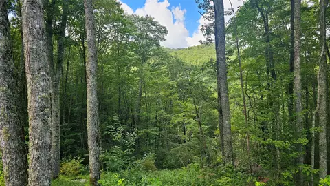 C25 Roaming Road, Glenville, NC 28736