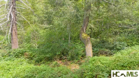 0 Sherwood Frst, Franklin, NC 28734 photo 9