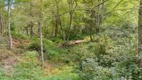 0 Sherwood Frst, Franklin, NC 28734 photo 12