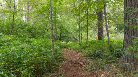 0 Sherwood Frst, Franklin, NC 28734 photo 7